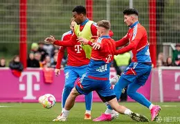 开云体育app-包含意甲倒计时，拜仁慕尼黑关键时刻外线爆发，细节引发关注，媒体盛赞，数据趋势出现新变化的词条